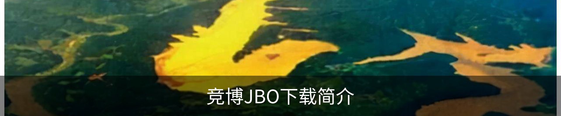 内页banner